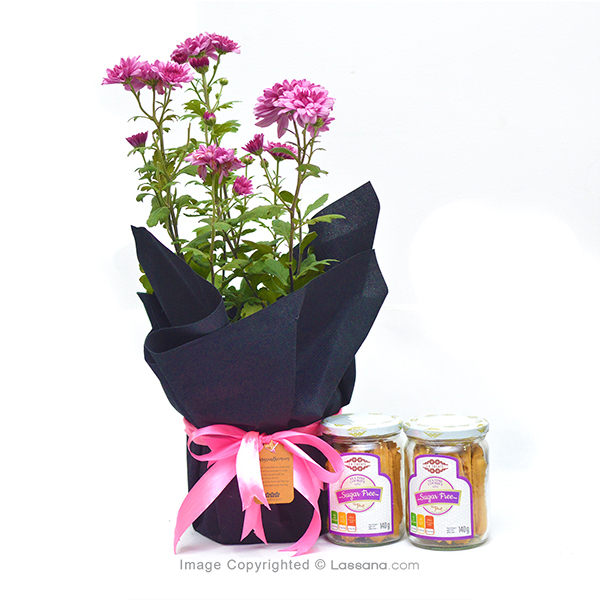 ALL ABOUT YOU COMBO PACK - Flowering Plants - in Sri Lanka